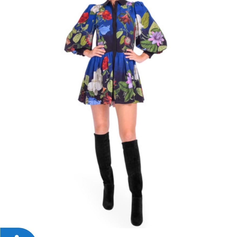 Alice + Olivia Blue Floral Mini Dress